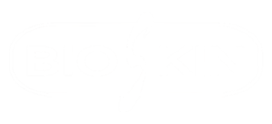 Productos Skin Care. Cursos de Estética en Puerto Rico y Estados Unidos BioSkin Velet Cosmetics BelleSkin